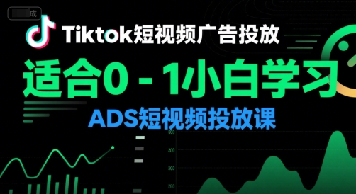 Tiktok短视频广告投放，适合0-1小白学习ADS短视频投放课-玩备项目资源网