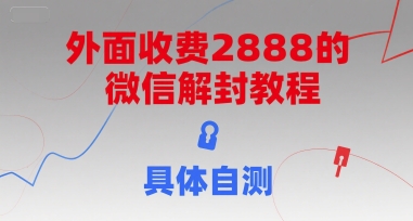 （15301期）外面收费2888的微信解封教程，具体自测-玩备项目资源网