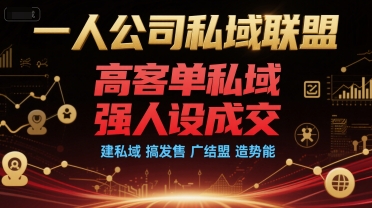 一人公司私域联盟，高客单私域，强人设成交，建私域 搞发售 广结盟 造势能-玩备项目资源网