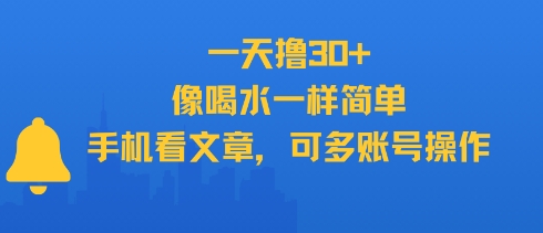 一天撸30+，像喝水一样简单，手机看文章，可多账号操作-玩备项目资源网