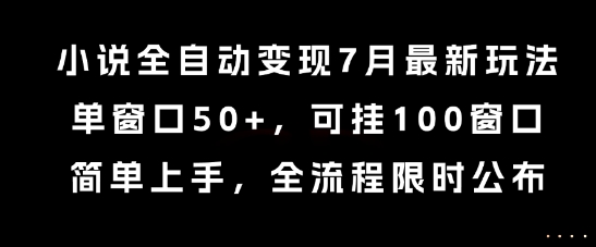 小说全自动变现7月玩法，单窗口50+，可挂100窗口，简单上手，全流程限时公布【揭秘】-玩备项目资源网