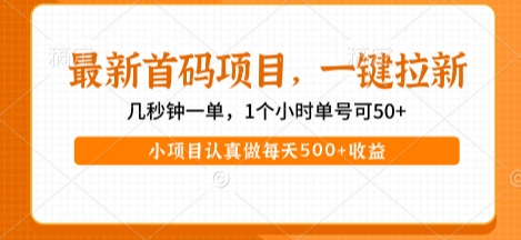 最新首码项目，操作最简单，收益高，一键拉新，1个小时单号可50+，小项目认真做每天5张+收益【揭秘】-玩备项目资源网