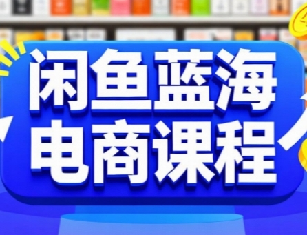 闲鱼蓝海电商课程，手把手助你快速上手，轻松实现闲鱼稳定盈利-玩备项目资源网