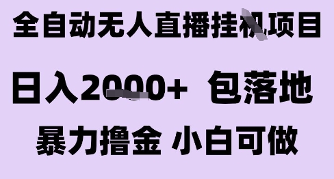 最新全自动抖音无人直播挂G项目，日入2k+ 包落地暴力撸金，小白可做【揭秘】-玩备项目资源网