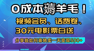 0成本薅羊毛!视频会员、话费卷、30元电影票白送，分享我如何靠转卖一天变现5张+【揭秘】-玩备项目资源网