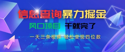信息查询暴力掘金，一天三条视频，轻松变现四位数，风口项目干就完了【揭秘】-玩备项目资源网