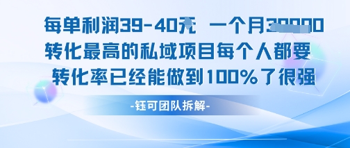 每单利润40一个月7k+转化最高的私域项目，每个人都要的产品转化率已经能做到100%-玩备项目资源网