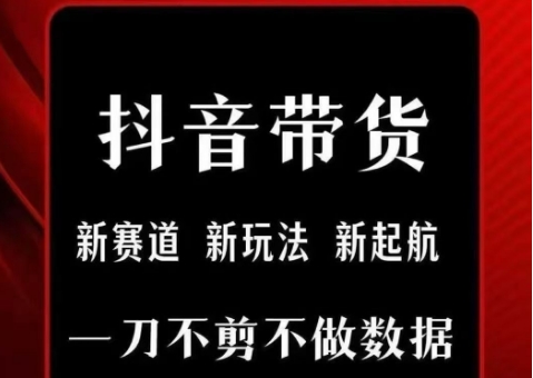 抖音短视频一刀不剪带货，不剪辑，不直播，每天发个视频，等着出单获取带货佣金-玩备项目资源网