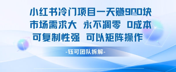 小红书冷门项目一天收益9张，市场需求大，0成本，可复制性强可以矩阵操作-玩备项目资源网