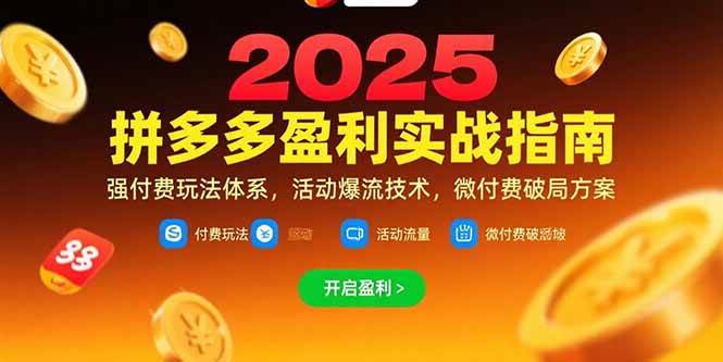 （15357期）拼多多盈利实战指南，强付费玩法，活动爆流技术，微付费破局方案(更新7月)-玩备项目资源网