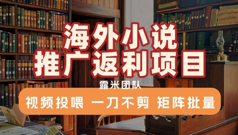 海外小说推广返利项目，视频投喂， 一刀不剪，矩阵批量-玩备项目资源网