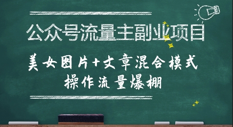 公众号流量主副业项目，美女图片+文章混合模式操作流量爆棚-玩备项目资源网