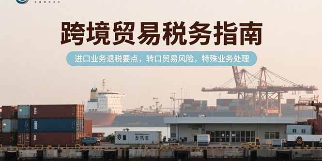 （15381期）跨境贸易税务指南，进口业务退税要点，转口贸易风险，特殊业务处理-玩备项目资源网