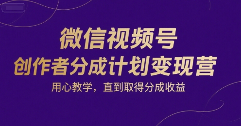 微信视频号创作者分成计划变现营，用心教学，直到取得分成收益-玩备项目资源网