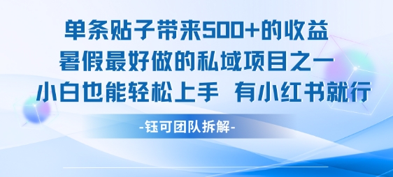 单条贴子带来5张的收益，暑假最好做的私域项目之一，小白也能轻松上手，有小红书就行-玩备项目资源网