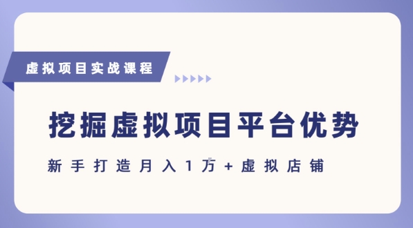 抓住虚拟项目各平台优势，新手轻松月入1W+(给出具体建议)-玩备项目资源网