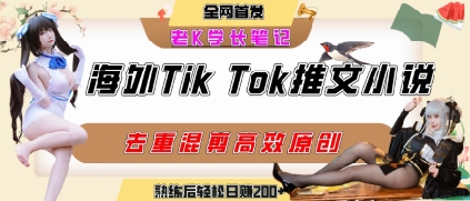 海外tiktok小说推文暴力项目，高停留率，高转化率，上手后一天搞顿饭钱不是问题-玩备项目资源网
