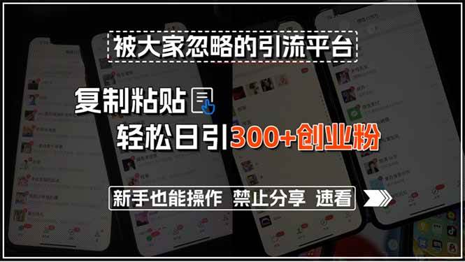 （15428期）被大家忽略的引流平台，复制粘贴轻松日引300+创业粉，新手也能操作，禁…-玩备项目资源网