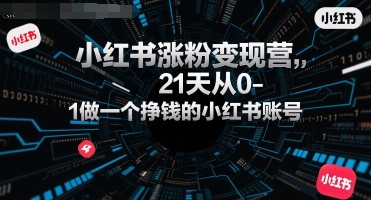 小红书涨粉变现营，21天从0-1做一个挣钱的小红书账号-玩备项目资源网