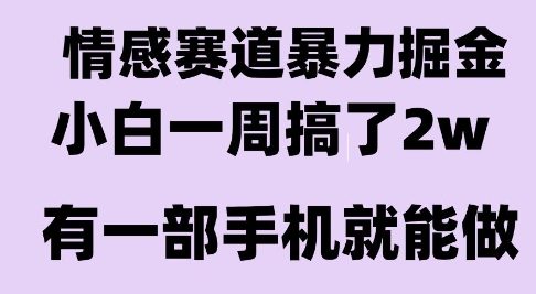 情感暴力掘金项目，新人操作一周挣了2W，长期稳定小白可做【揭秘】-玩备项目资源网