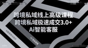 跨境私域线上高级课程，跨境私域极速成交3.0+Ai智能客服-玩备项目资源网