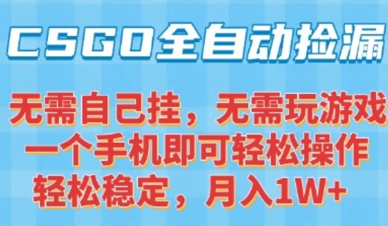CSGO自动捡漏项目，最新独家玩法，一个手机可操作，新手小白轻松月入1W+，操作简单易上手【揭秘】-玩备项目资源网