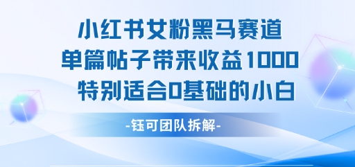 小红书女粉黑马赛道单篇帖子带来收益1k+，特别适合0基础的小白-玩备项目资源网