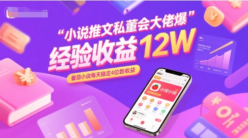 小说推文私董会大佬爆单经验分享收益12W，番茄小说每天稳定4位数收益-玩备项目资源网