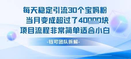 每天稳定引流30个人 当月变成超过了4个W项目流程非常简单适合小白-玩备项目资源网