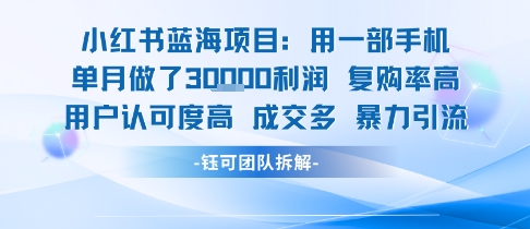 小红书蓝海项目，一部手机单月做了3W利润，小白也能月入过1W用户认可度高成交多-玩备项目资源网