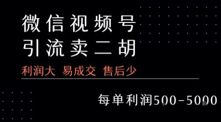 视频号卖二胡教程，利润大 易成交 售后少，一单利润5张+-玩备项目资源网