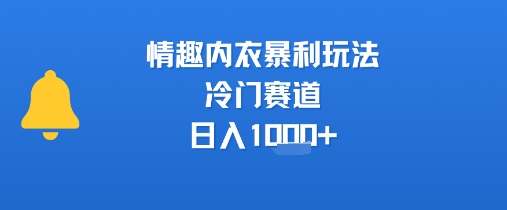 情趣内衣暴利玩法，冷门赛道，日入1k+-玩备项目资源网