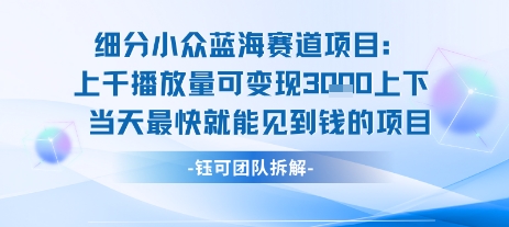 小众蓝海赛道项目：当天变现1k+适合新手操作 +适合长期玩-玩备项目资源网