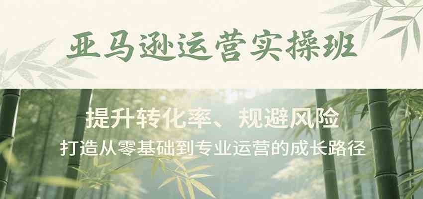 亚马逊运营实操班，提升转化率、规避风险，打造从零基础到专业运营的成长路径-玩备项目资源网