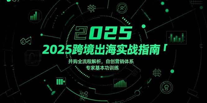 （15503期）2025跨境出海实战指南，并购全流程解析，自创营销体系，专家基本功训练-玩备项目资源网