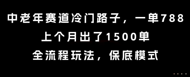 中老年赛道冷门路子，一单788，上个月出了1500单，全流程玩法，保底模式【揭秘】-玩备项目资源网