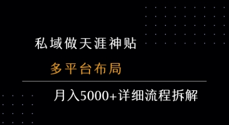 私域做天涯神贴 多平台布局 月入5k+详细流程拆解-玩备项目资源网