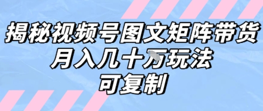 解密视频号图文矩阵带货，月入几个W的打法，可复制-玩备项目资源网