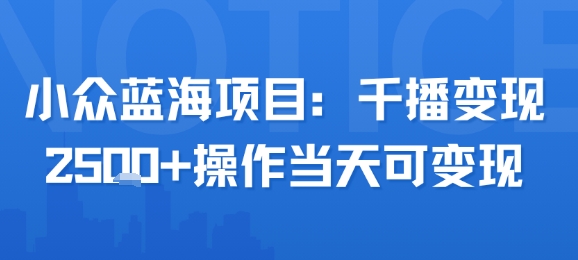小众蓝海项目，千播变现2.5k+操作当天可变现-玩备项目资源网