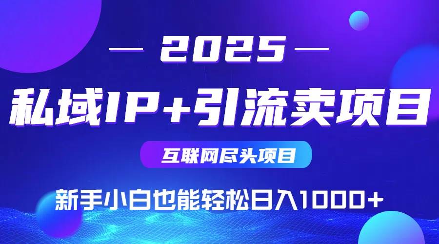 （15531期）2025网创尽头项目，私域IP+引流，新手小白也能在家日入1000+-玩备项目资源网