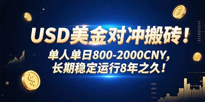 （15551期）USD美金对冲搬砖!单人单日800-2000CNY，长期稳定运行8年之久!-玩备项目资源网