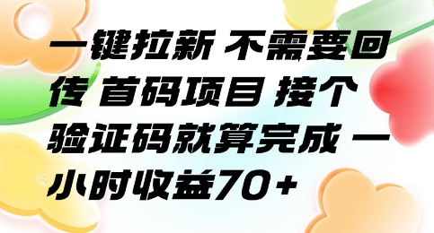 一键拉新 不需要回传 首码项目 接个验证码就算完成 一小时收益70+【揭秘】-玩备项目资源网