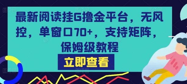 最新阅读挂G撸金平台，无风控，单窗口70+，支持矩阵，保姆级教程【揭秘】-玩备项目资源网
