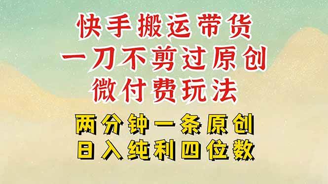 （15577期）快手黑科技搬运带货，一刀不剪过原创，微付费投流玩法，轻松日入四位数…-玩备项目资源网