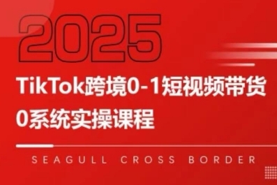 TikTok跨境0-1短视频带货，系统拆解TikTok跨境带货全链路，实现跨境可持续盈利-玩备项目资源网