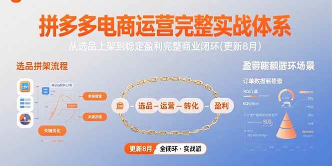 （15579期）拼多多电商运营完整实战体系，从选品上架到稳定盈利完整商业闭环(更新8月)-玩备项目资源网