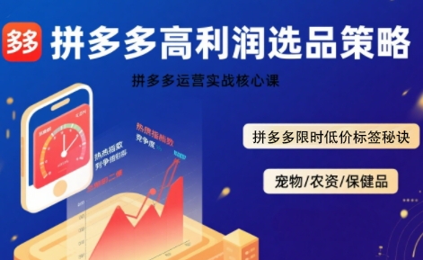 拼多多选品暴利技术实战课，拼多多高利润选品策略，拼多多限时低价标签秘诀-玩备项目资源网