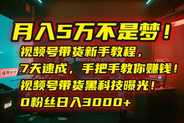 （15595期）月入5万不是梦！视频号带货新手教程，7天速成，手把手教你赚钱！视频号…-玩备项目资源网