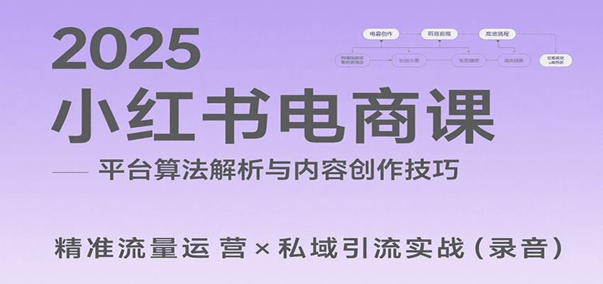 2025小红书电商课：解析算法，创作高转化内容，助力卖家获取流量实现变现（录音）-玩备项目资源网