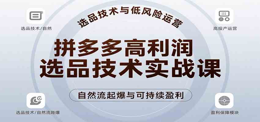 拼多多高利润选品技术实战课，手把手教学自然流高投产起爆，实现低风险可持续盈利-玩备项目资源网